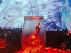-地球美食剧场