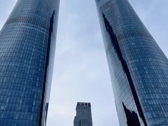 -千百味红餐厅·江西菜(绿地双子塔店)