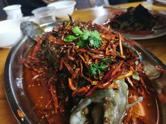 -鼓歌海鲜舫·手抓海鲜(大学城店)