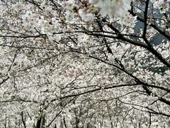 -高岚大峡谷旅游度假区