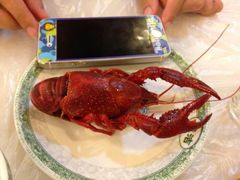 android_upload_pic-鲁小三·大骨自助(金山总店)