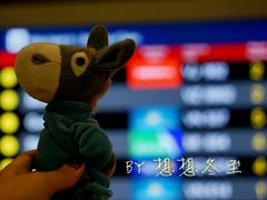 -河内内排国际机场