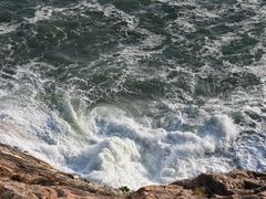 -广东惠东海龟国家级自然保护区