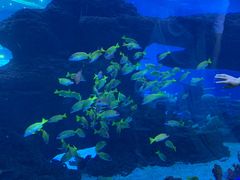 -成都浩海立方海洋公园