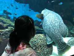 -鹿儿岛水族馆
