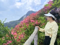 -木兰云雾山