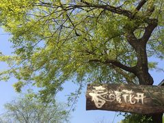 -春暖花开(西溪店)
