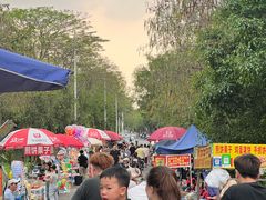 -顺峰山公园