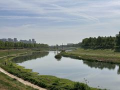 -洨河生态公园