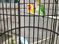 -老味道民宿(栈桥店)