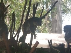 -可伦宾野生动物保护区
