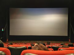 -嘉华国际影城(学清路店)