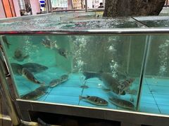 -新渔之道餐厅(塘厦店)