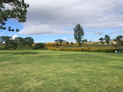 -大锅强·蒸海鲜青岛菜(吾悦广场店)