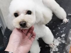 -宠爱国际动物医院(德胜门店)