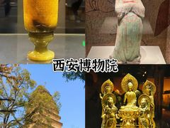 -陕西历史博物馆