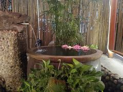 -三道苗苗鱼·美蛙黄辣丁(八里店)
