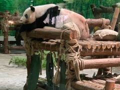 -灵玲国际马戏城