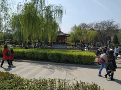 -西安青龙寺遗址景区