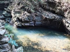 -江西阳明山国家森林公园