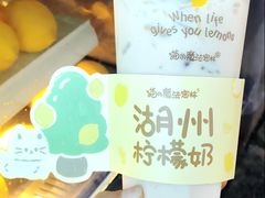 -猫的魔法密林(衣裳街店)