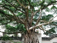 -墨池公园