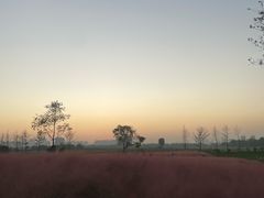 -汉长安城未央宫国家考古遗址公园