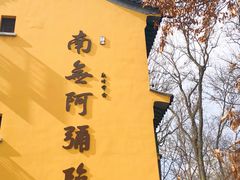 -灵谷景区