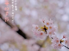 -南浦大桥长途旅游客运站