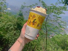 -茶颜悦色(岳麓山顶店)