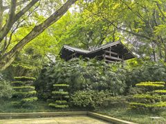 -鹅岭公园瞰胜楼