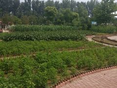 -意大利农场度假村