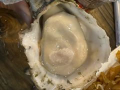 -土蚝·高压锅生蚝(百姓美食街店)