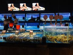 水产区-徐记海鲜(大明宫|北二环店)