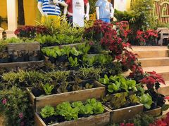 -Ohkajhu Organic Farm Sansai