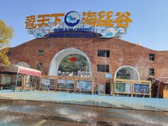 -瓷天下海丝谷