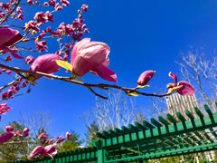 -西海子公园