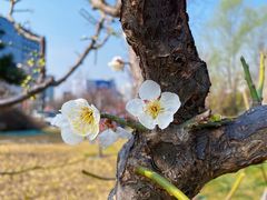 景点-北京明城墙遗址公园