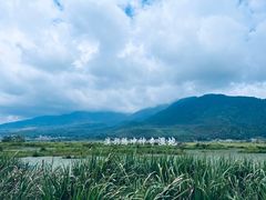 -腾冲北海湿地