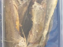 -狗撵鸭(泰山公寓店)