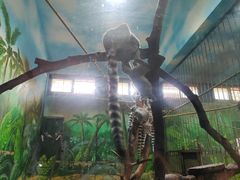 -西安秦岭野生动物园