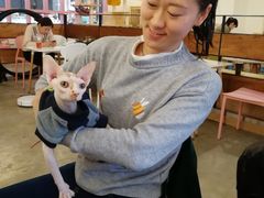-喵匠猫主题咖啡(凯德和平广场店)