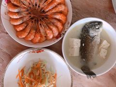 -好孕妈妈月嫂(哈尔滨总店)