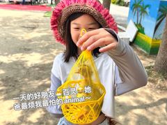 -苏州太湖西山岛开心农场