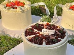 -Dark Horse·黑马蛋糕·低脂·低糖淡奶(金匙望湖大厦店)