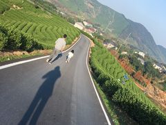 -帐篷客·溪龙茶谷度假酒店