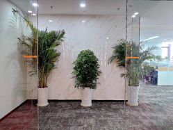 -HEYAN荷妍专业脱毛连锁机构