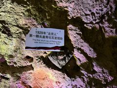 -周口店北京人遗址公园