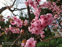 -长辛店二七公园