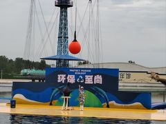 -秦皇岛乐岛海洋王国